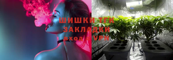 гидра Бронницы
