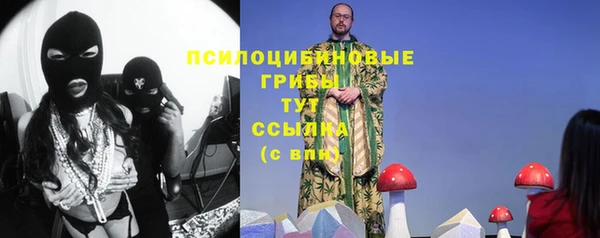 твердый Бородино