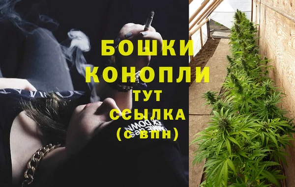 гидра Бронницы