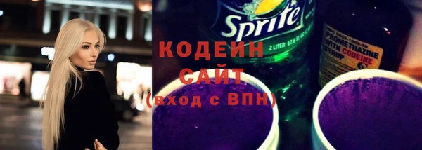 твердый Бородино