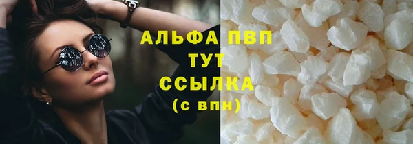 твердый Бородино