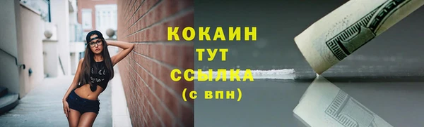 твердый Бородино