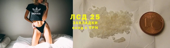 гидра Бронницы