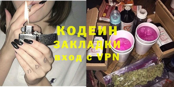 твердый Бородино