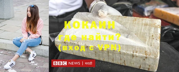 твердый Бородино