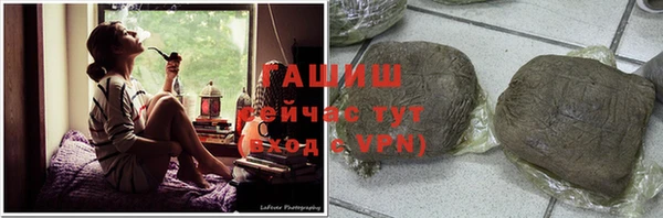 твердый Бородино